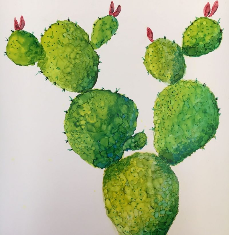 Cacti – SOLD