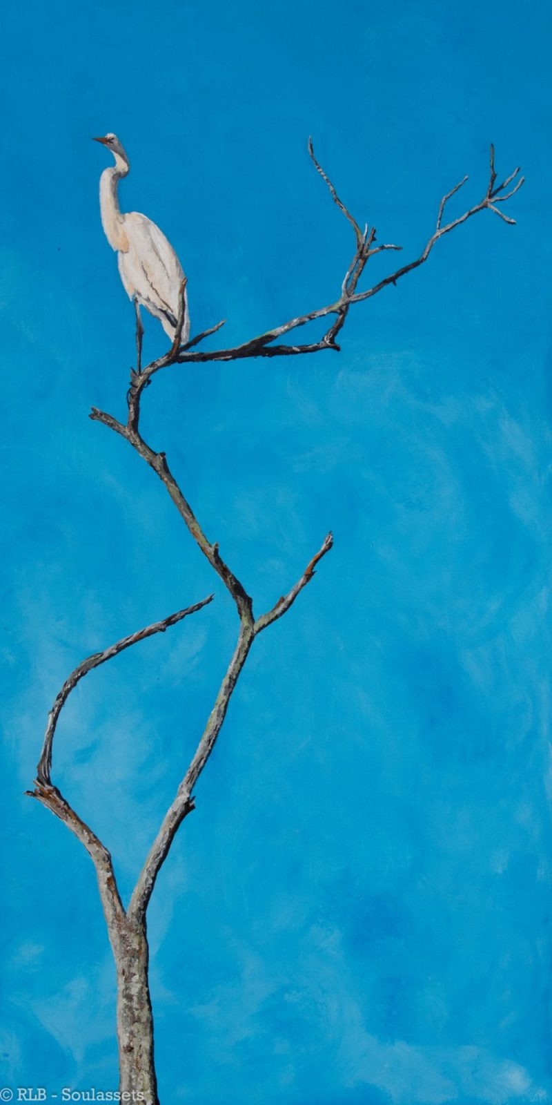 Its Own White Image 2