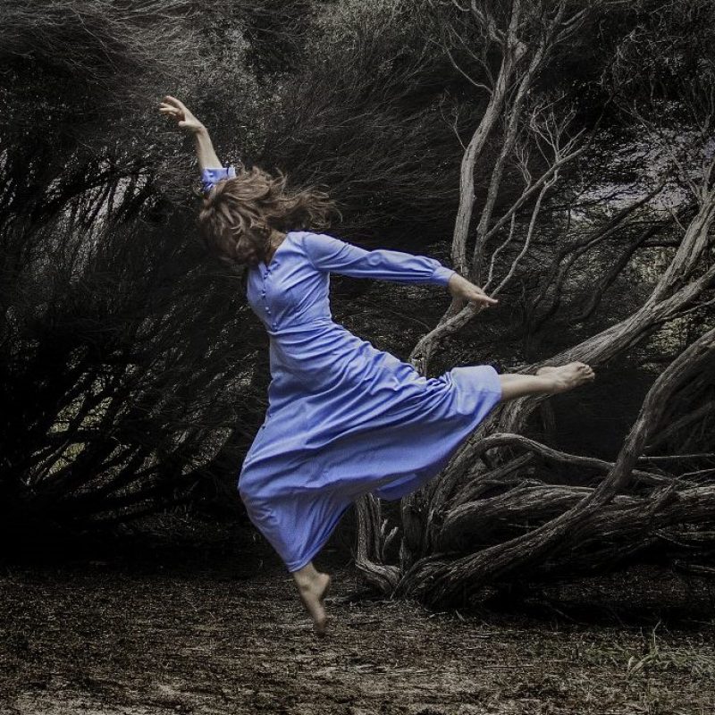 Whispering Woods Fine Art Photographer 1024x1024