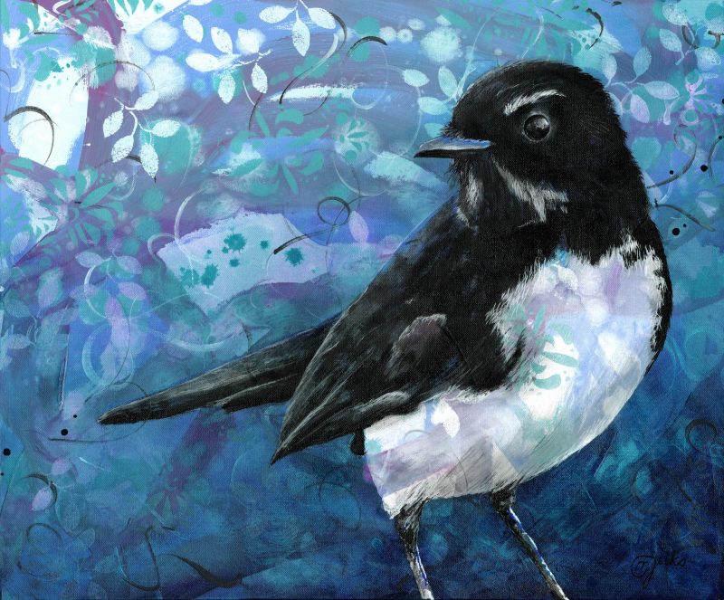 Willie Wagtail
