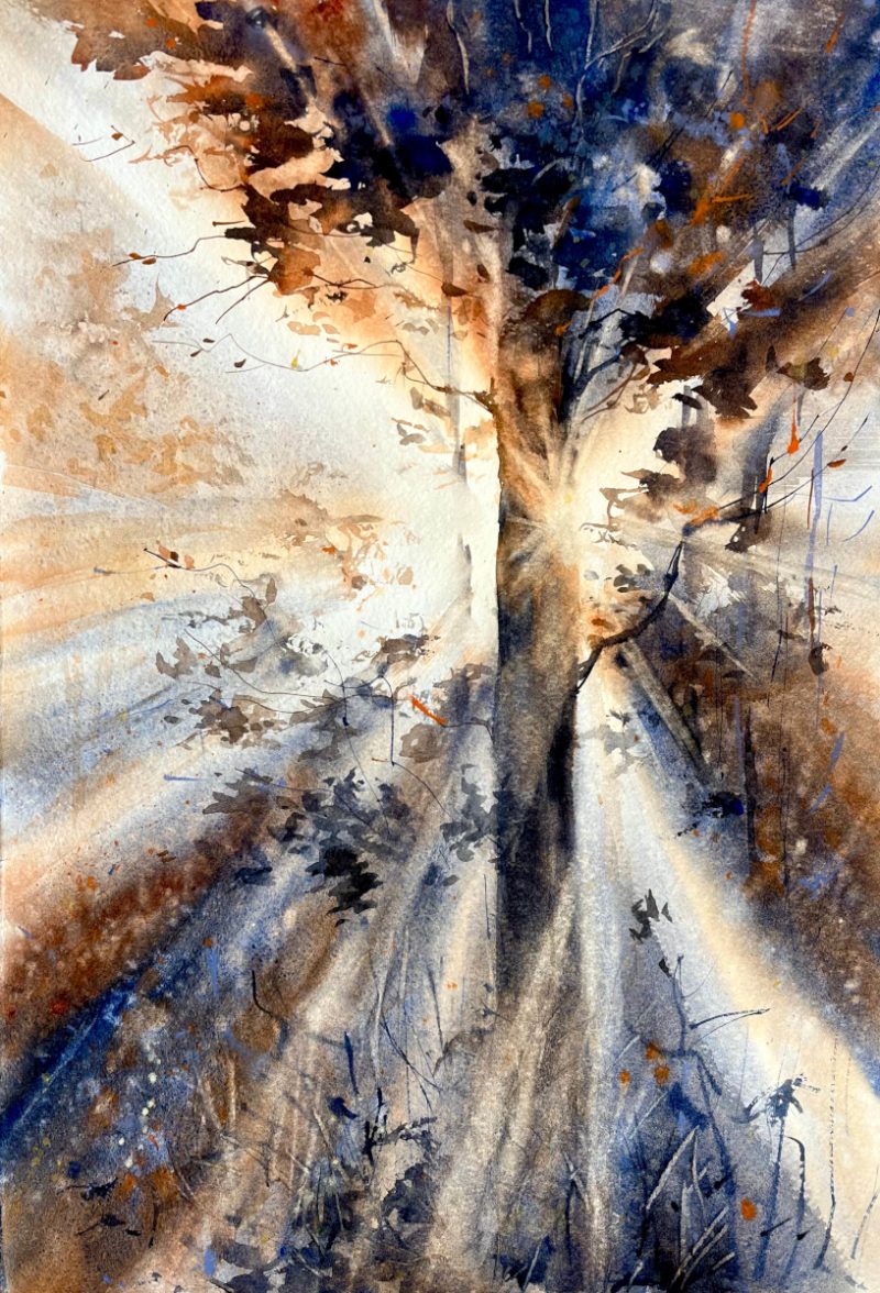 Morning Light