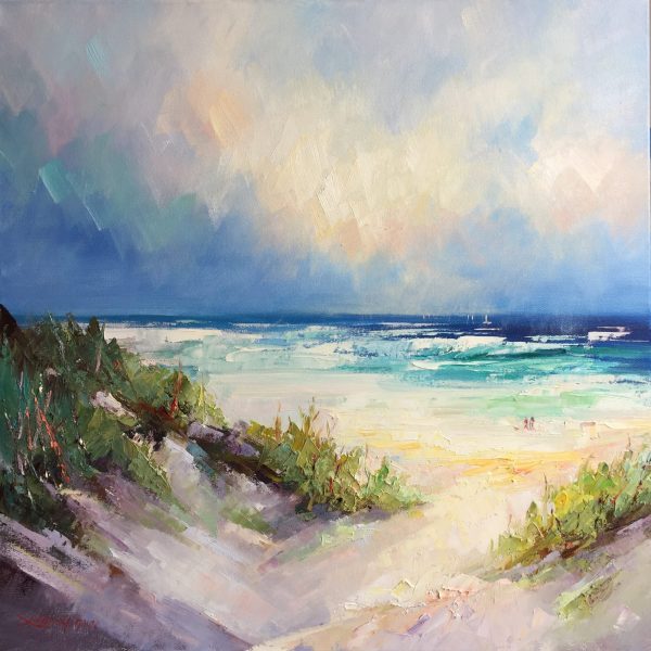 65 Sand Dunes At Portsea Back Beach