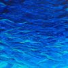 Blue And Aqua Ripples Lr