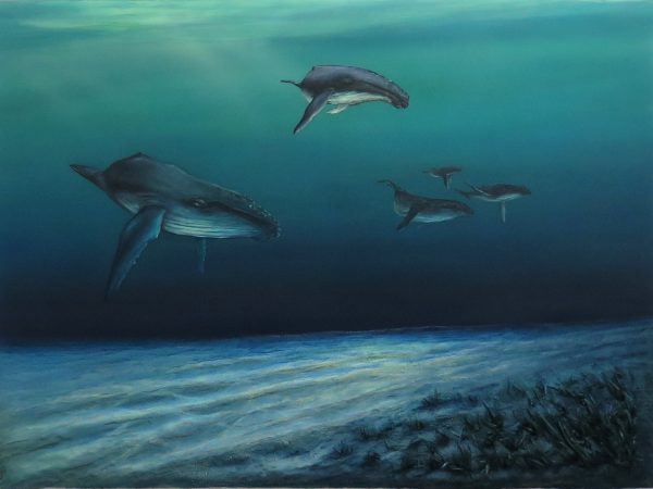 Humpbacks In The Paddock Petra Meikle De Vlas