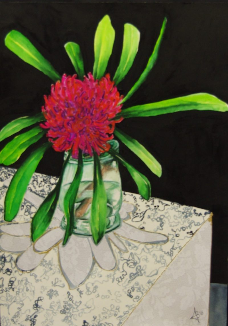 Modern Waratah Still Life