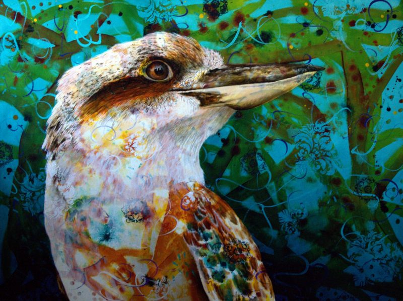 Kookaburra King – Limited Edition Print