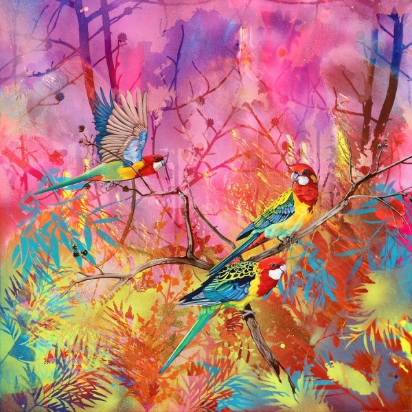 In The Grevilleas Eastern Rosellas.web