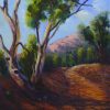 Leading The Way Flinders Ranges Oil On Canvas Cvidal V2