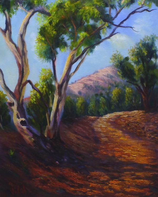 Leading The Way Flinders Ranges Oil On Canvas Cvidal V2
