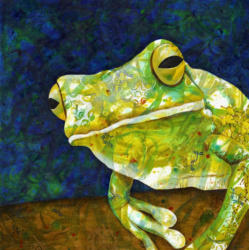 Being Green – Tree Frog