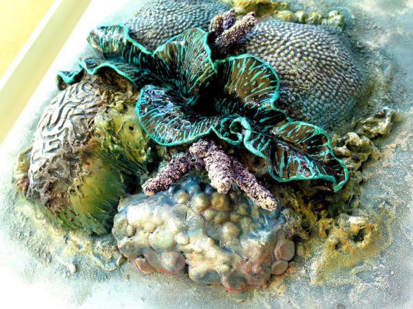 Oyster Reef Clam Petra Meikle De Vlas