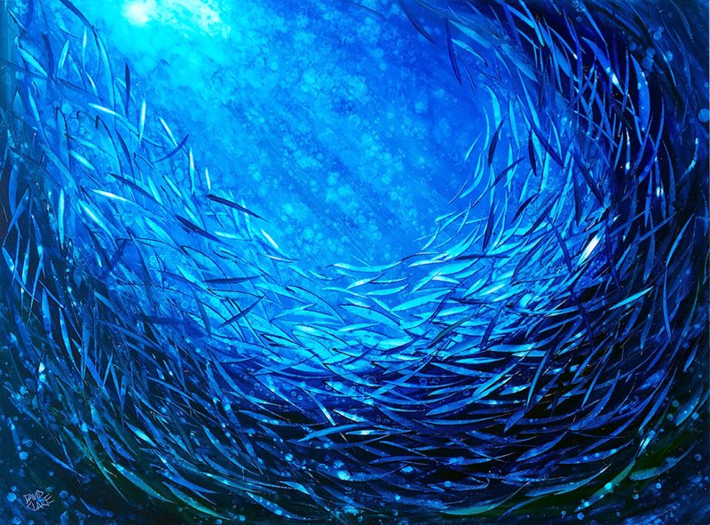 Plenty Of Fish In The Sea