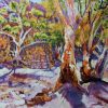 Flinders Ranges Gum Trees Final