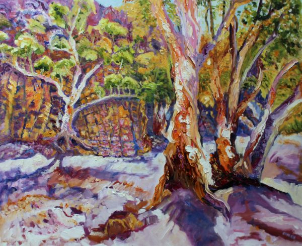 Flinders Ranges Gum Trees Final