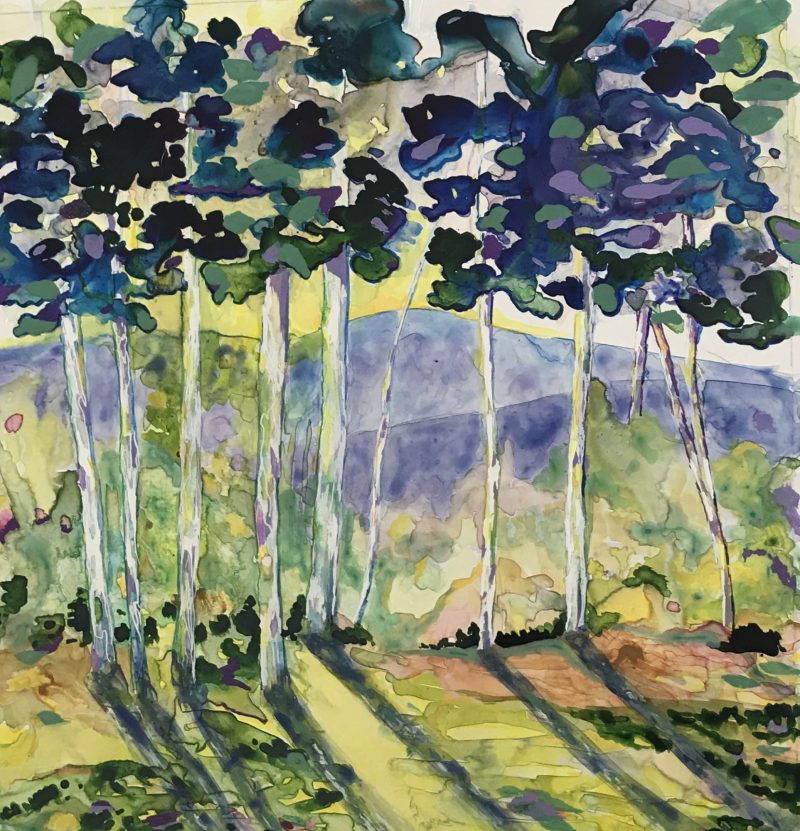 BLUE GUMS BLUE MOUNTAINS