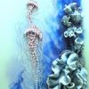 “drifting Jellies” Up Close Petra Meikle De Vlas