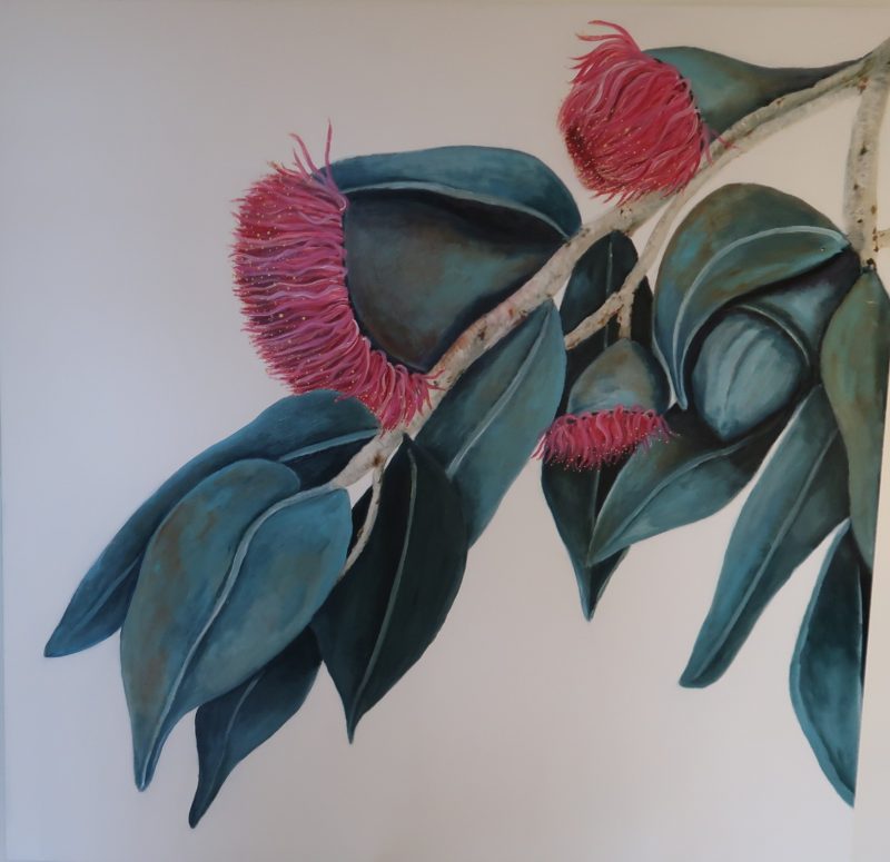 Contemporary Australian Gum Flowers – So Beautiful So Stylish