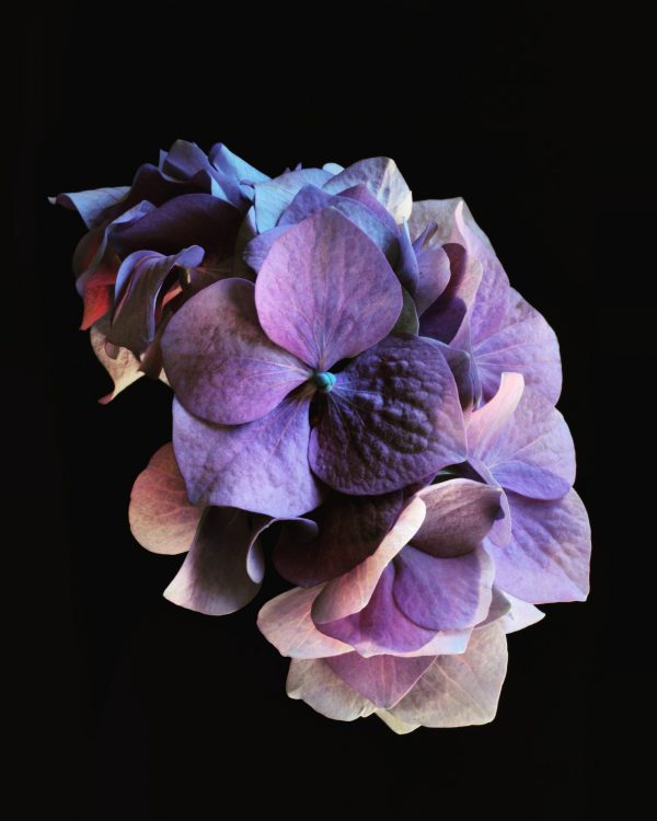 Img 20181211 120211 447