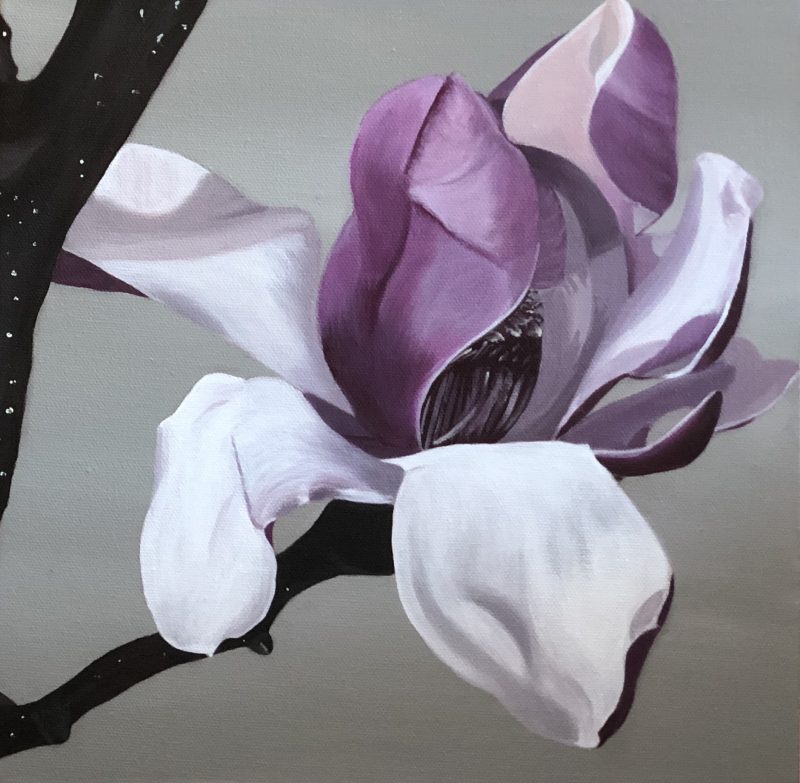Magnolia Bloom 1