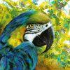 Michelle Gilks Macaw Coaster