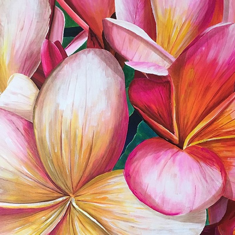 Rhapsody In Colour Full Image