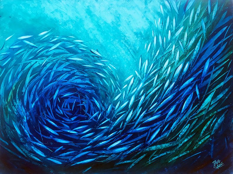 Aqua Fish Swirl