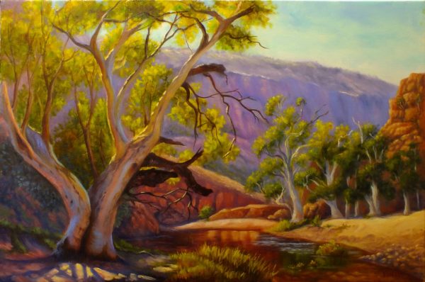 Ormiston Gorge By Chris Vidal