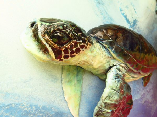 Stormy Waters Petra Meikle De Vlas