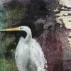 Egret.detail