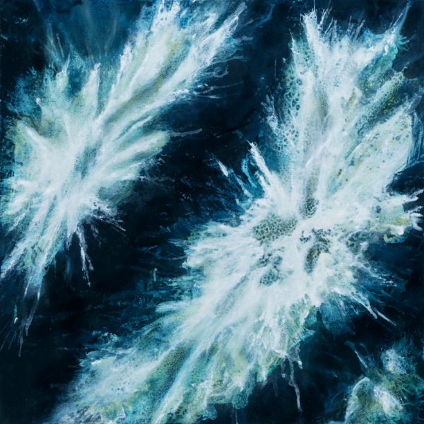 Osteoblast Bloom, 76.3cm X 76.3cm, Jacquelyn Stephens