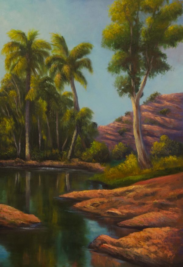 Palm Valley West Macdonnell Ranges By Vidal