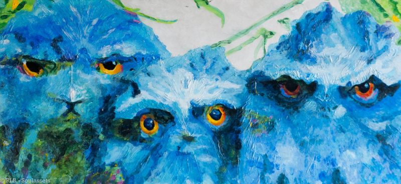 Wisdom and Wonder Tawny Frogmouth