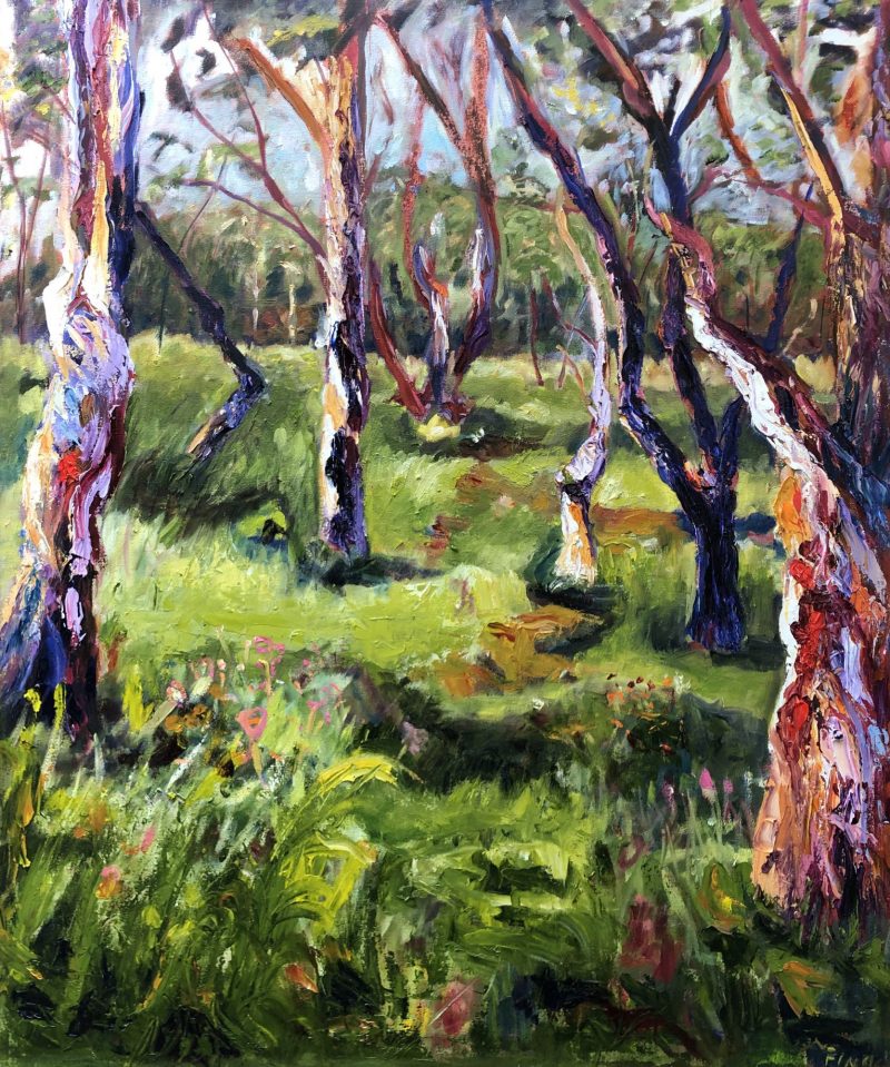 STRINGYBARK GUM TREES