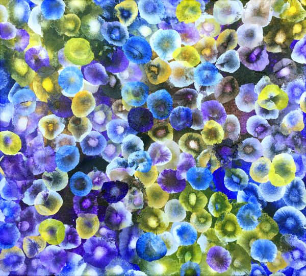 Aqueous Bloom Viii Bf