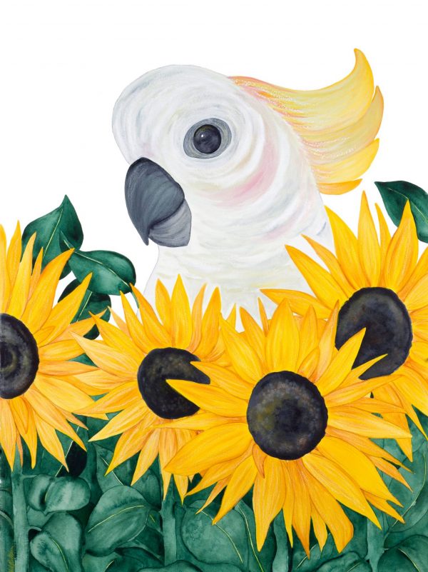 D92e07c1 583a 4203 9df8 E7eac18266ca