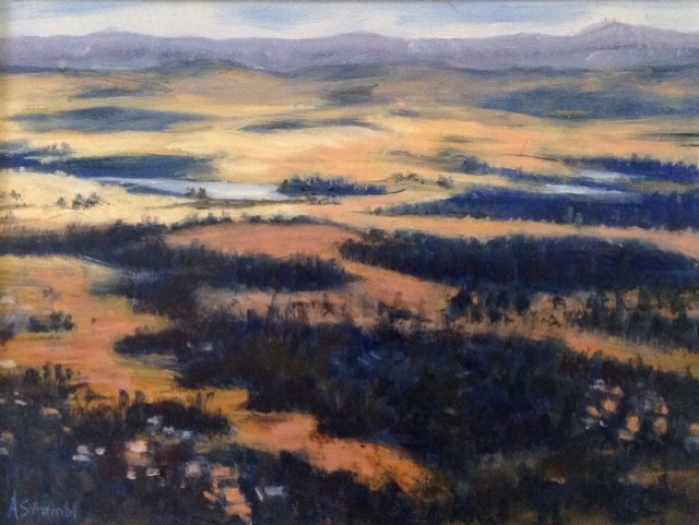 Mount Tamborine View