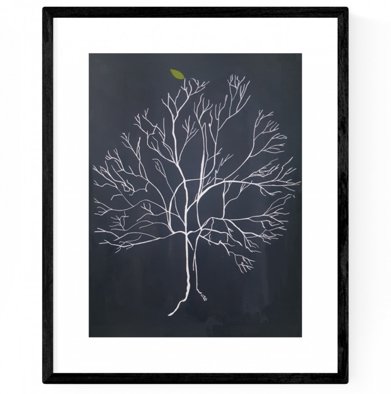 Australis Map Tree 2