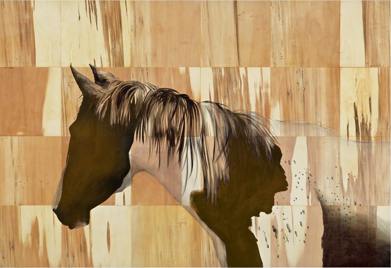 Carpentaria (Brumby)