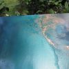 Treasure Reef Ocean Painting For Sale By Petra Meikle De Vlas13