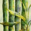 Bamboo Crop