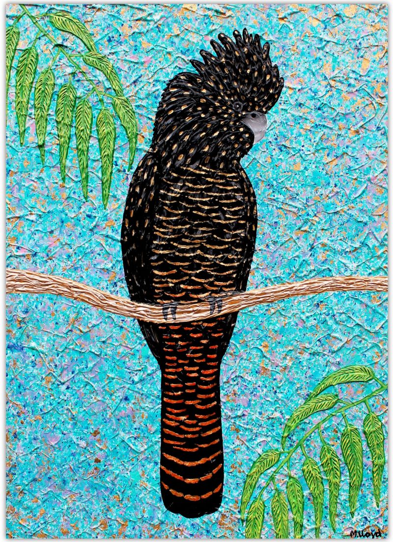 Red Tailed Black Cockatoo – SOLD
