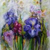 Iris Flowers