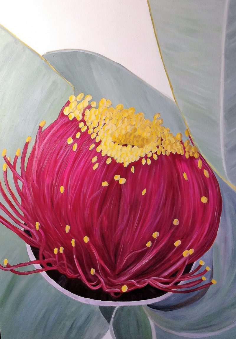 Western Australian Queen