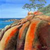 #20 Bay Of Fires Tasmania Id 4202
