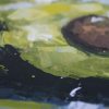 Avocado Half 1b