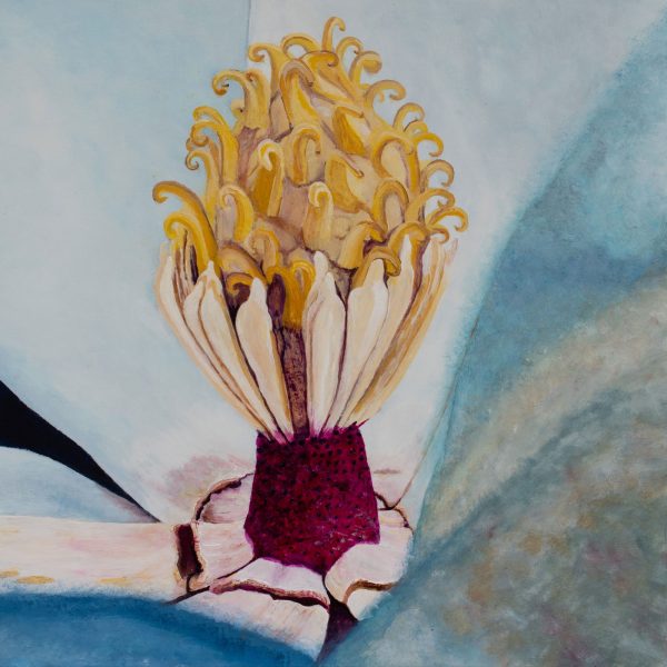 Magnolia Express Rlb Hqf