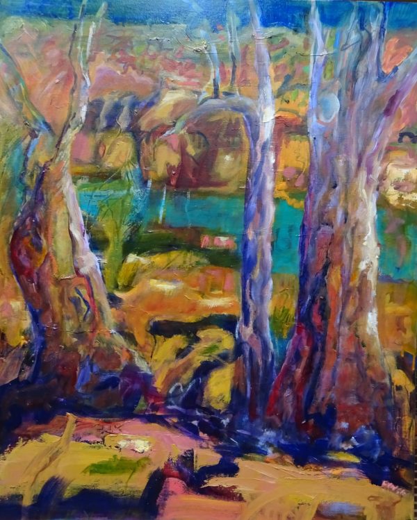 Colours Of The Australian Bush