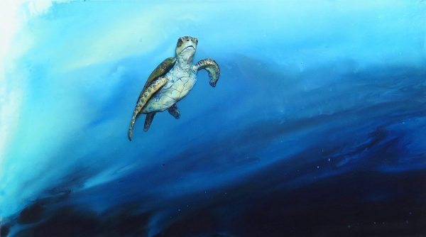 Between Reefs 3d Sculpture Painting For Sale By Petra Meikle De Vlas9