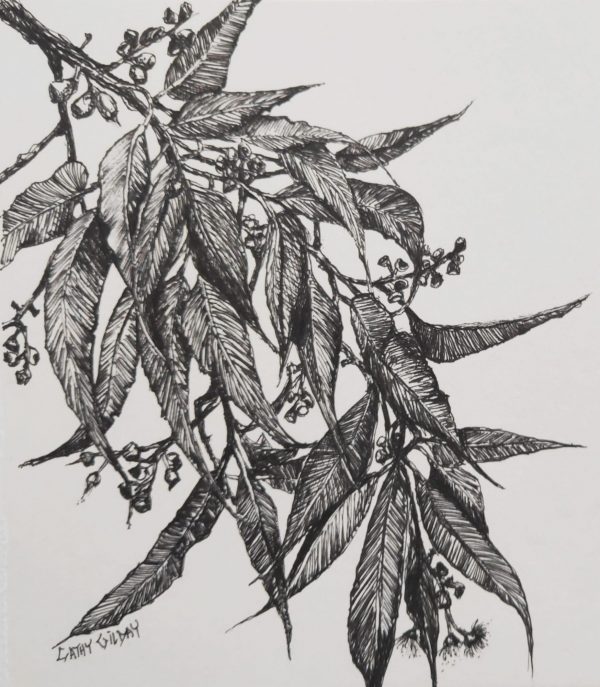 Img 20190630 142713 605