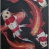 #32 Koi Id4426